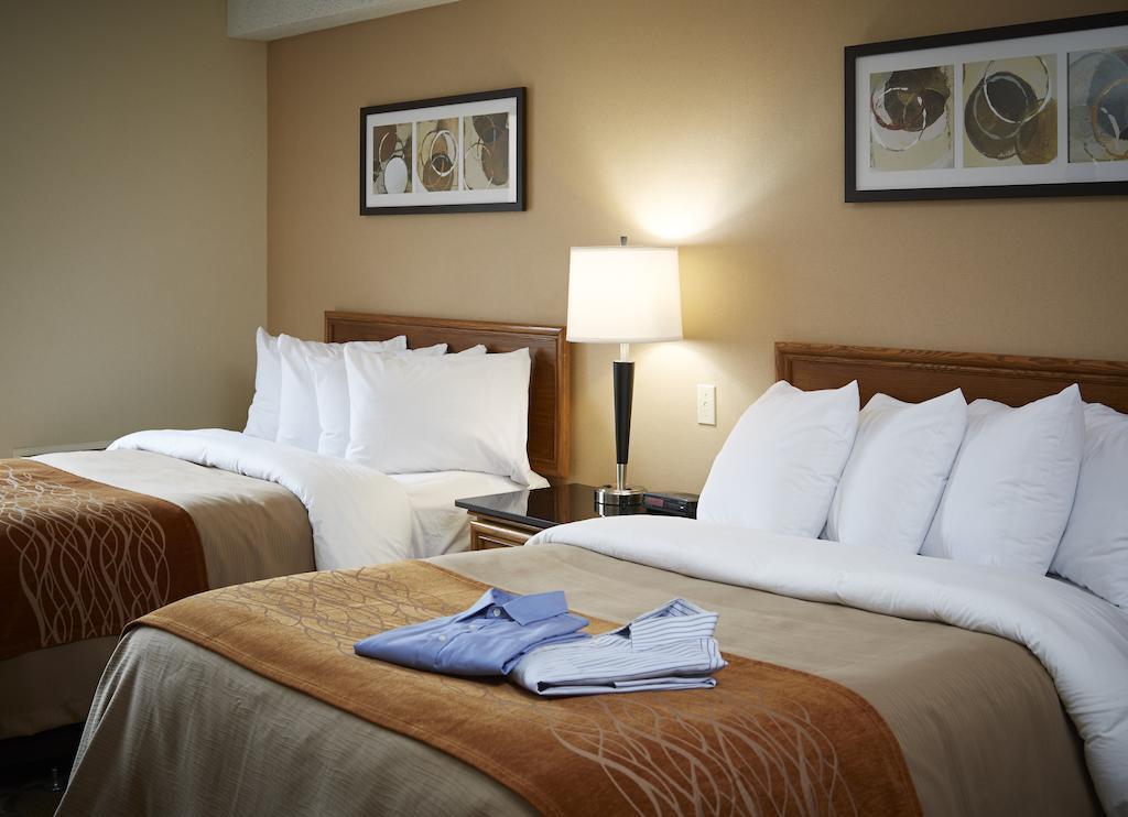 Comfort Inn Χάμιλτον Εξωτερικό φωτογραφία