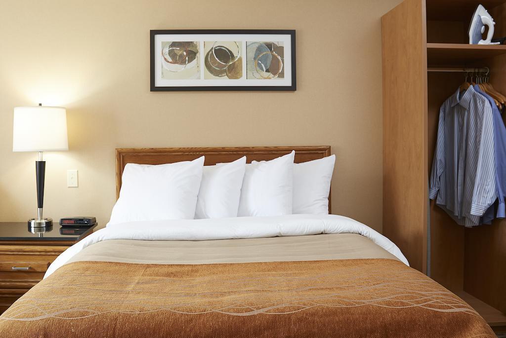 Comfort Inn Χάμιλτον Εξωτερικό φωτογραφία