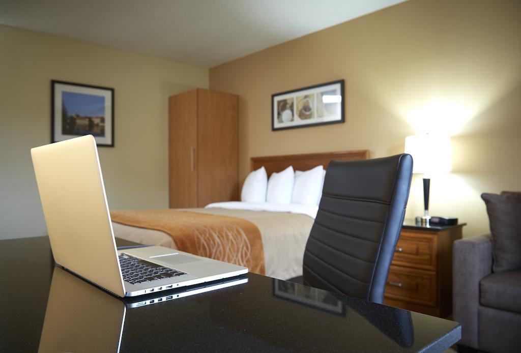 Comfort Inn Χάμιλτον Εξωτερικό φωτογραφία