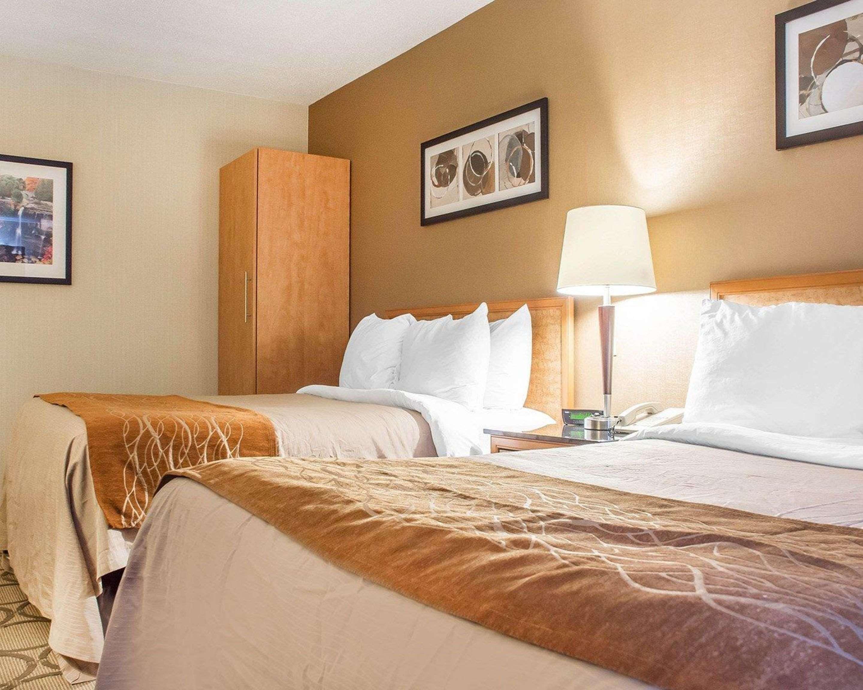 Comfort Inn Χάμιλτον Εξωτερικό φωτογραφία