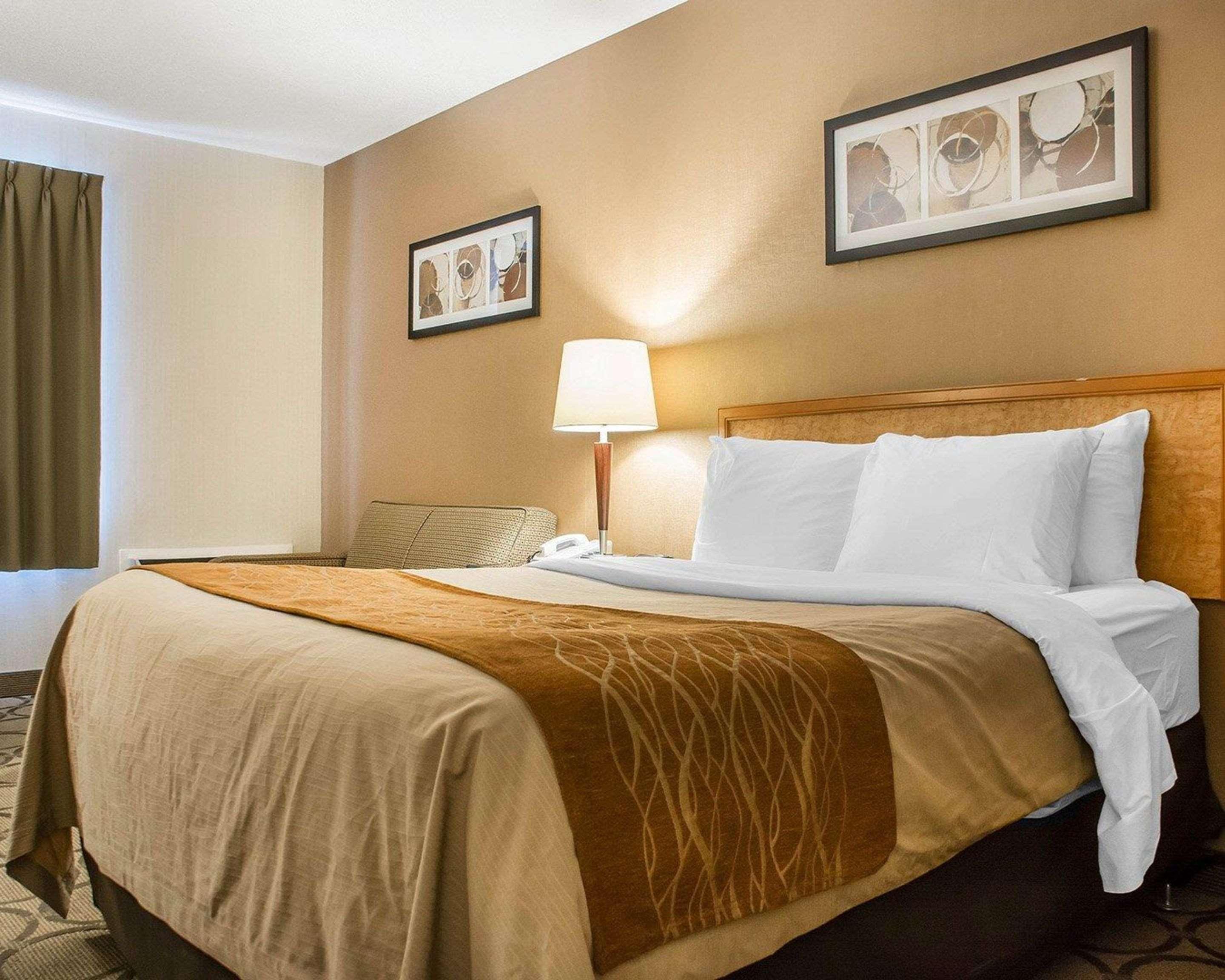 Comfort Inn Χάμιλτον Εξωτερικό φωτογραφία