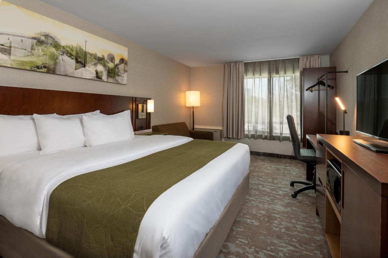 Comfort Inn Χάμιλτον Εξωτερικό φωτογραφία