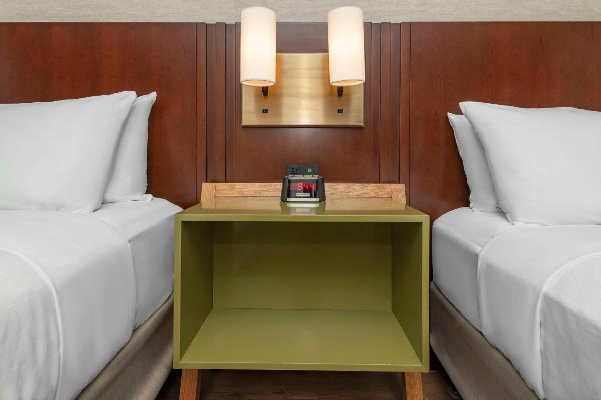 Comfort Inn Χάμιλτον Εξωτερικό φωτογραφία