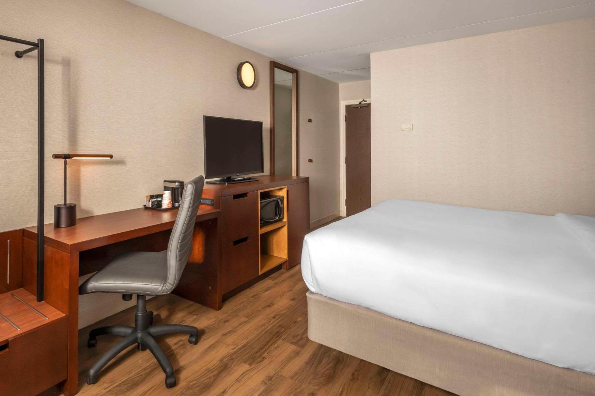 Comfort Inn Χάμιλτον Εξωτερικό φωτογραφία